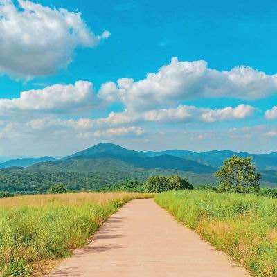 老皇冠登录入口welcome截图