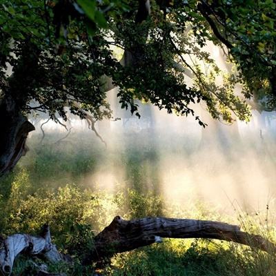 49图库一资料中心截图