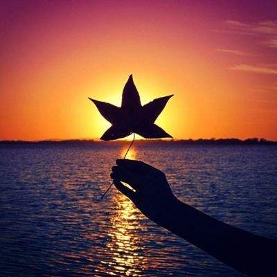 万博手机版max网页版