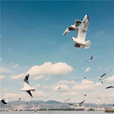 开玩棋牌下载手机版